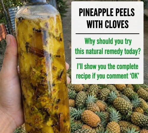 Fierbe coji de ananas cu cuișoare și vezi cum îți schimbă viața…vezi primul comentariu