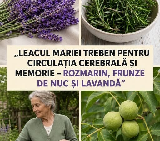 Ceai cu rozmarin, frunze de nuc și lavandă: rețetă tradițională pentru susținerea stării de bine…vezi primul comentariu
