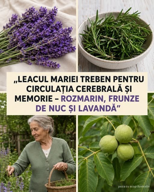Ceai cu rozmarin, frunze de nuc și lavandă: rețetă tradițională pentru susținerea stării de bine…vezi primul comentariu