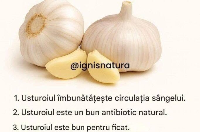 Usturoi: un aliat natural pentru sănătatea respiratorie, urinară și digestivă.