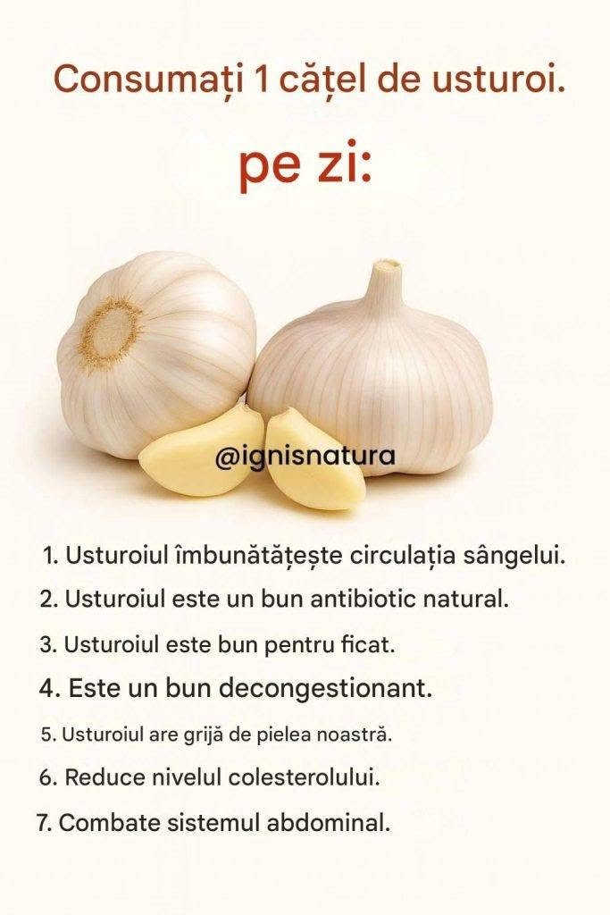 Usturoi: un aliat natural pentru sănătatea respiratorie, urinară și digestivă.
